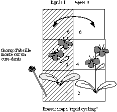 Image: TPgen2004a-3.jpg