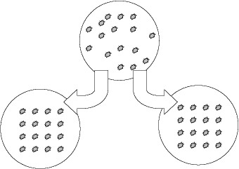 Image: TPgen2004a-8.jpg
